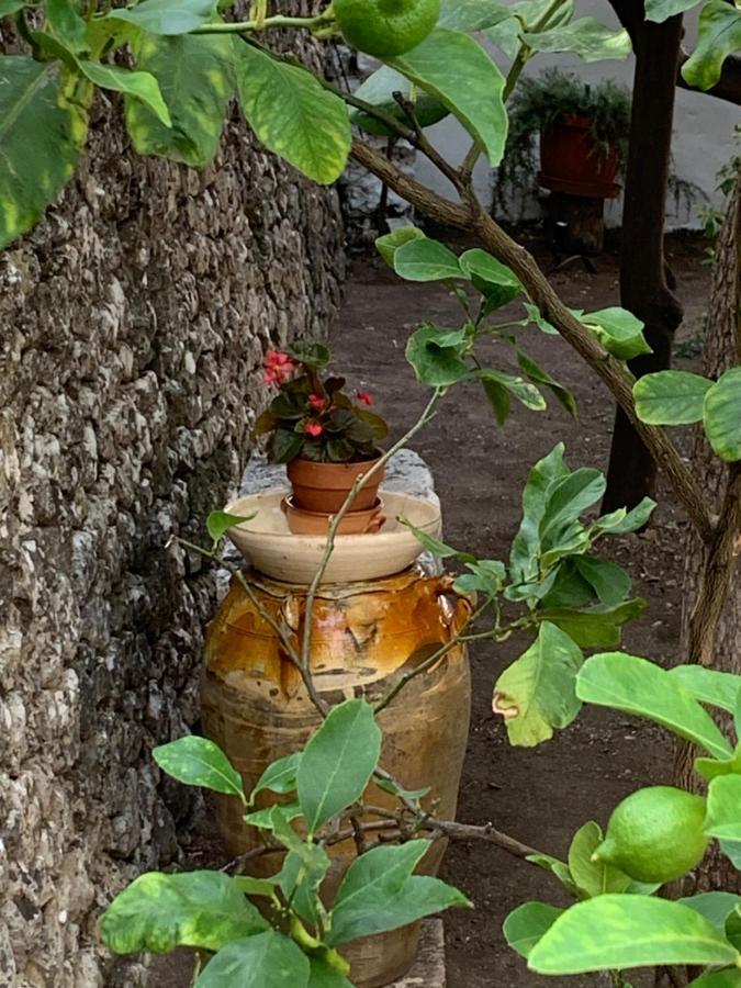 Dimora Le Zagare Apartment Ostuni Luaran gambar