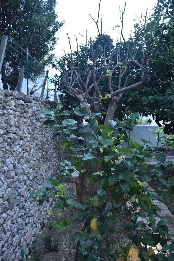 Dimora Le Zagare Apartment Ostuni Luaran gambar