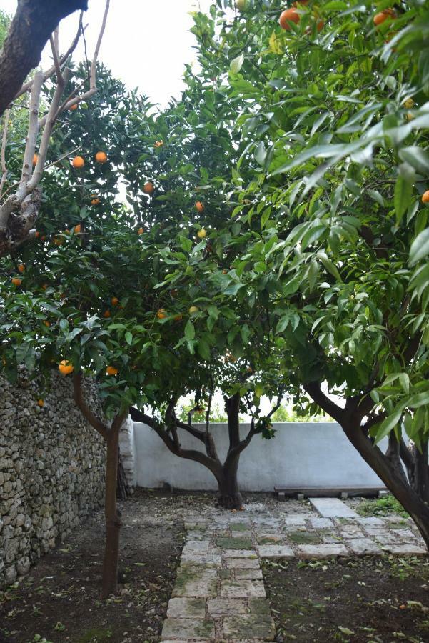 Dimora Le Zagare Apartment Ostuni Luaran gambar
