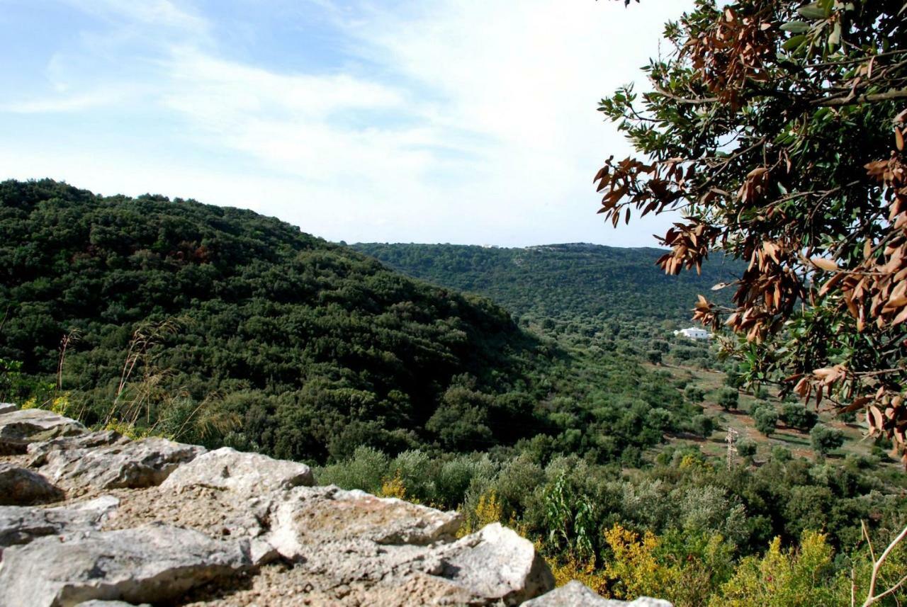 Dimora Le Zagare Apartment Ostuni Luaran gambar