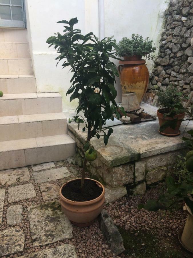 Dimora Le Zagare Apartment Ostuni Luaran gambar